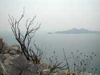 DSCN1847