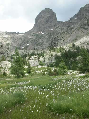 mercantour14