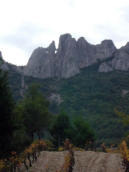 DSCN8233