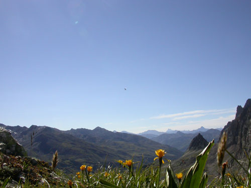 Aiguille noire 008