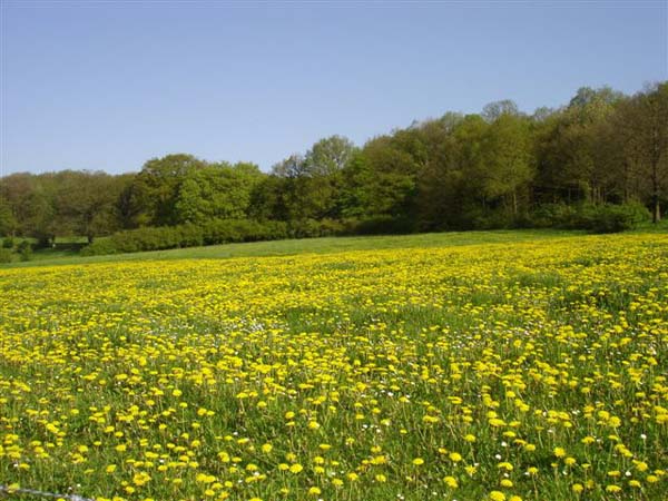 DSC01073