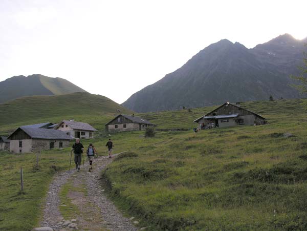 DSCN0942