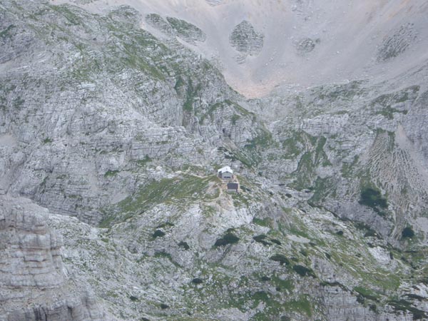 12.LE MIMETISME D'UN REFUGE