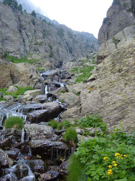 142-Le vallon vu d'en bas