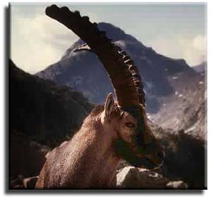 Photo Club Alpin de Lille